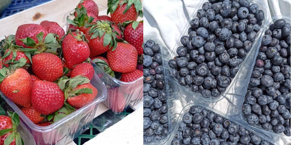 Продам свіжу полуницю та лохину