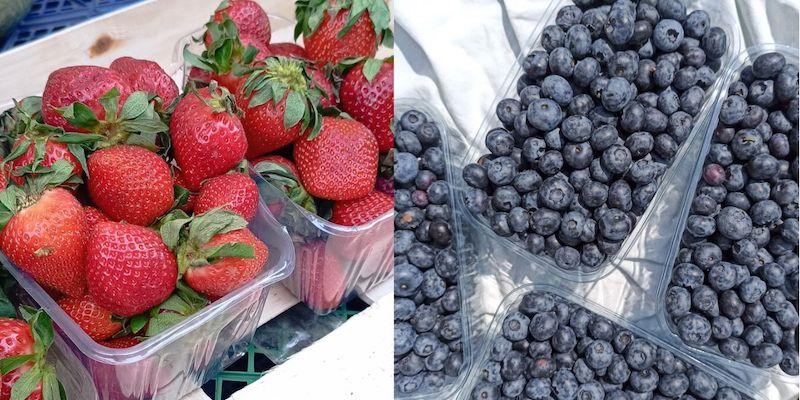 Продаж свіжої полуниці та лохини
