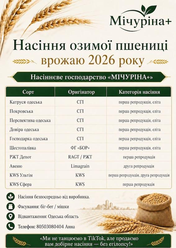 Seeds of winter wheat for the 2026 harvest from the manufacturer