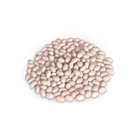 We purchase beans in large quantities: stable contracts and self-pickup