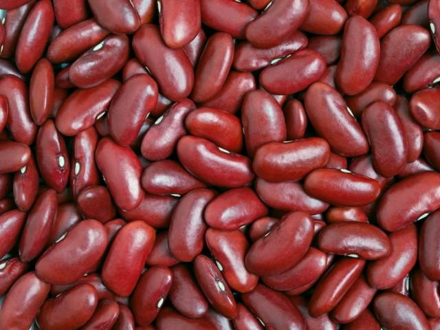 Sale of varietal beans in wholesale batches