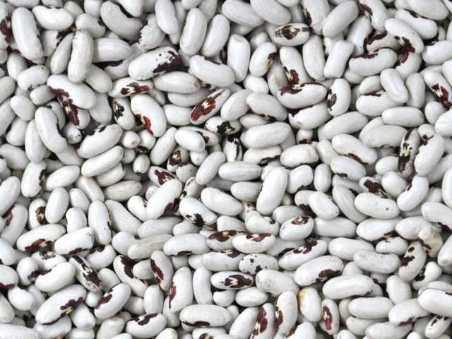 Wholesale sale of varietal beans