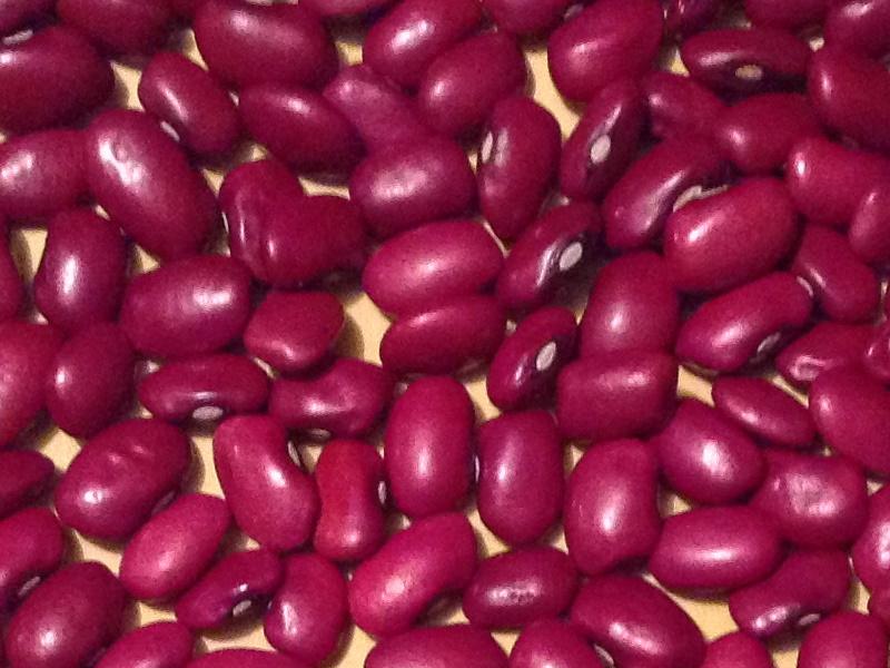 High-quality varietal beans. Large selection of selected varieties