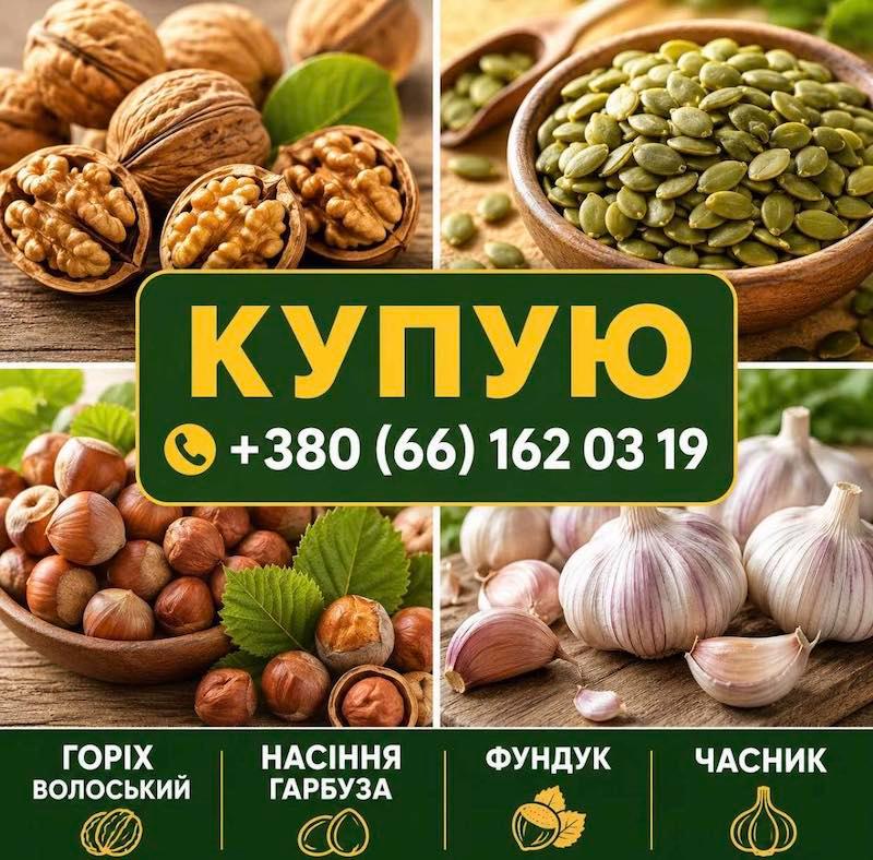Куплю часник, горіхи, насіння гарбуза