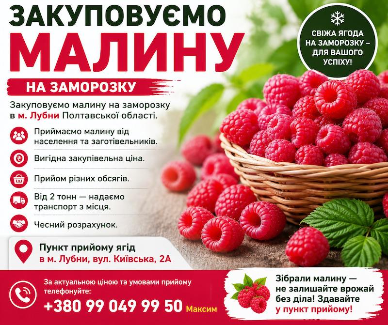 Закуповуємо малину на заморозку