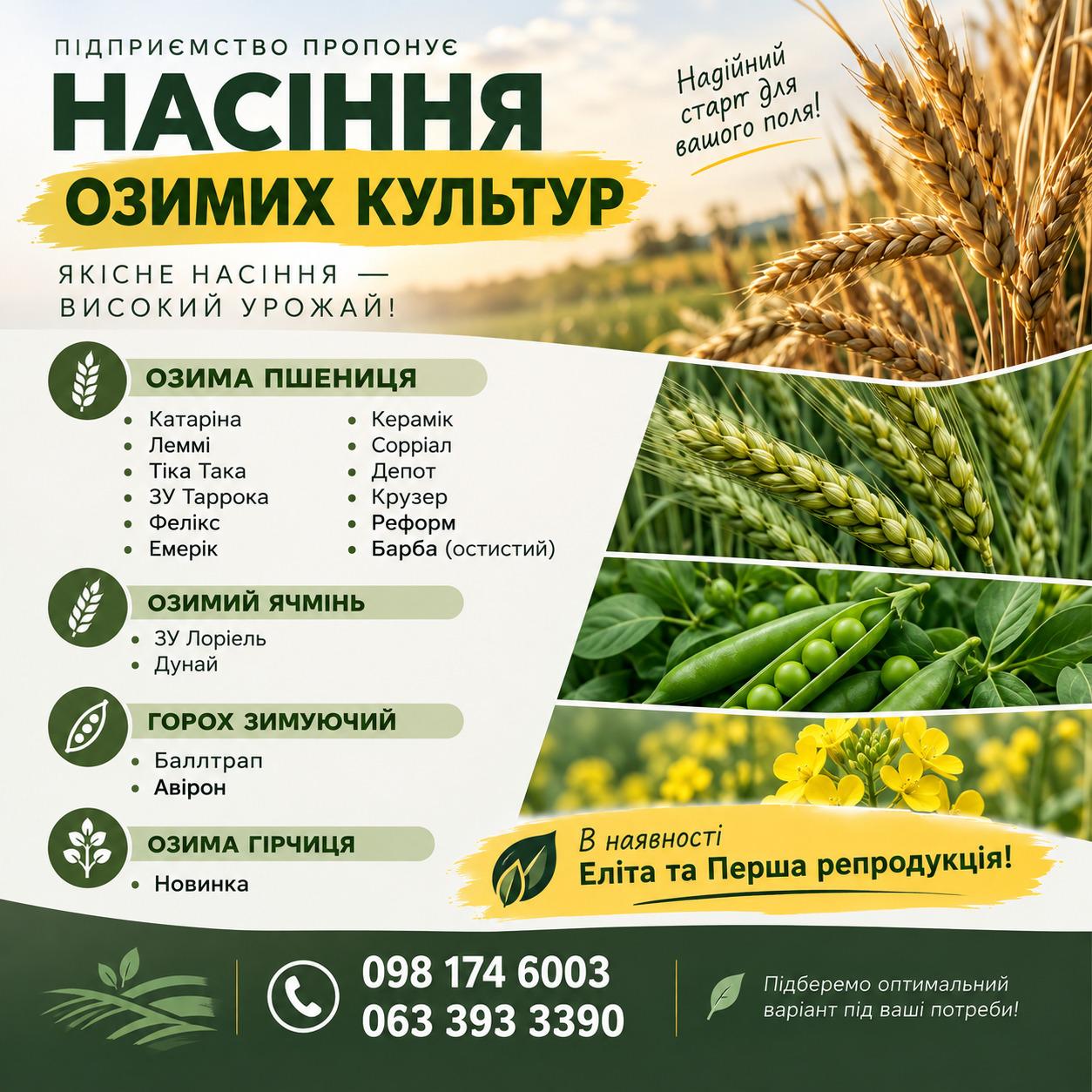 Посівний матеріал озимих культур