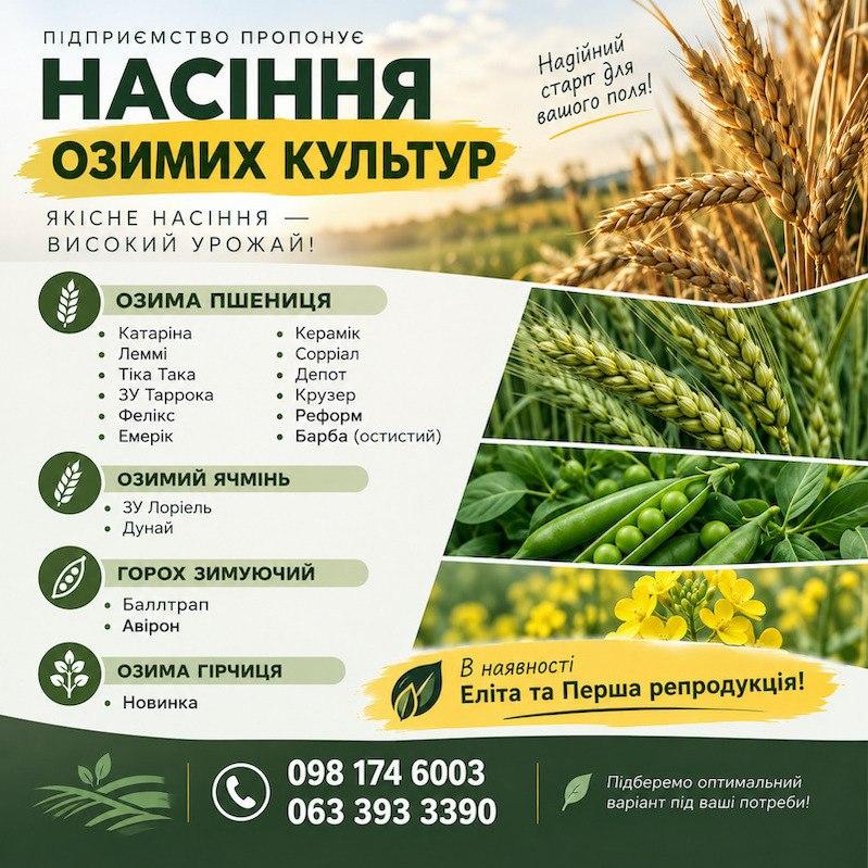 Насіння озимих культур. Еліта та Перша репродукція