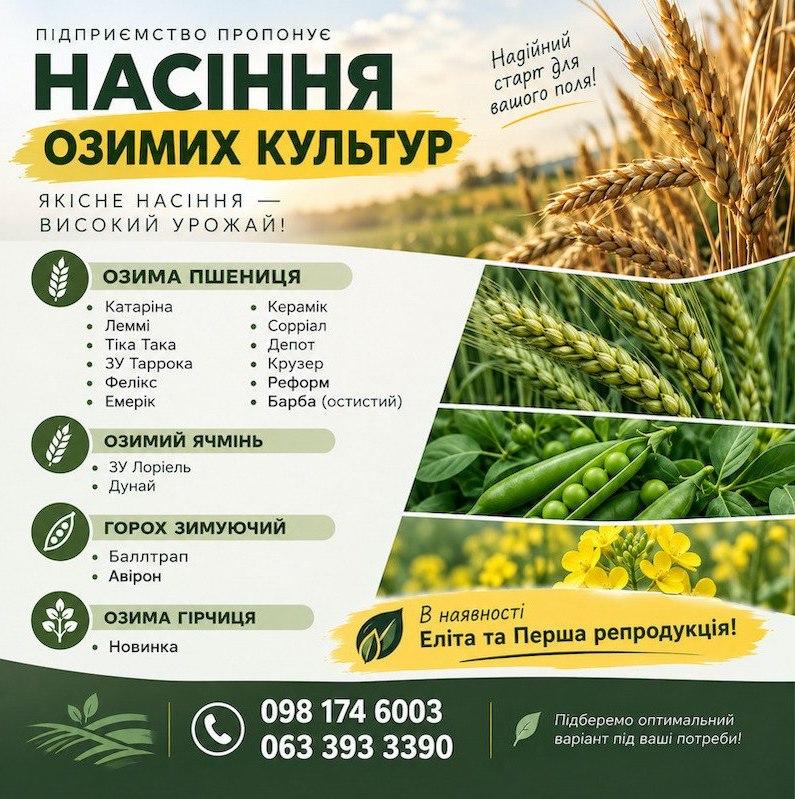 Продаж насіння озимих: пшениця, ячмінь, горох, гірчиця